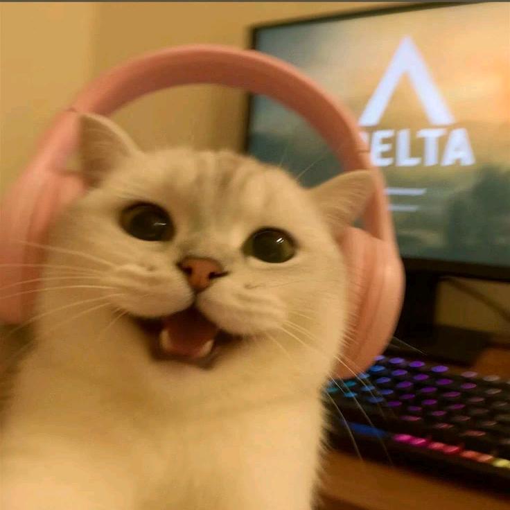 小鹏养猪-农家土猪