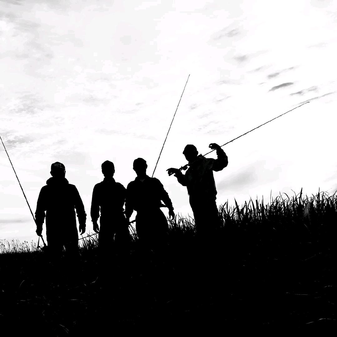 拯救溺水小鱼🎣