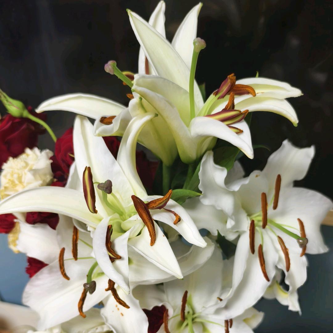 格姐—重庆鸡公煲