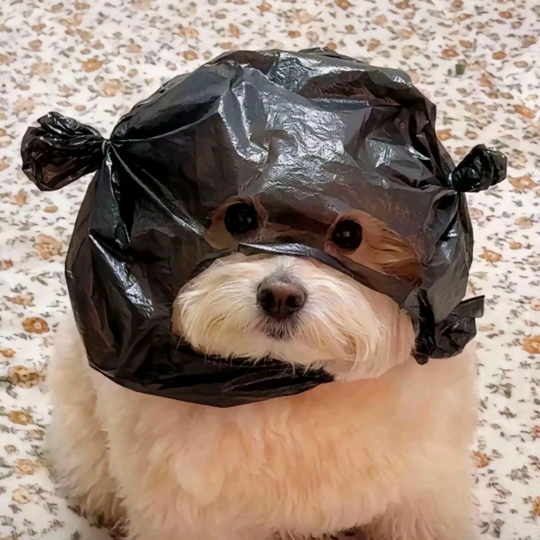 某人爱上了某人