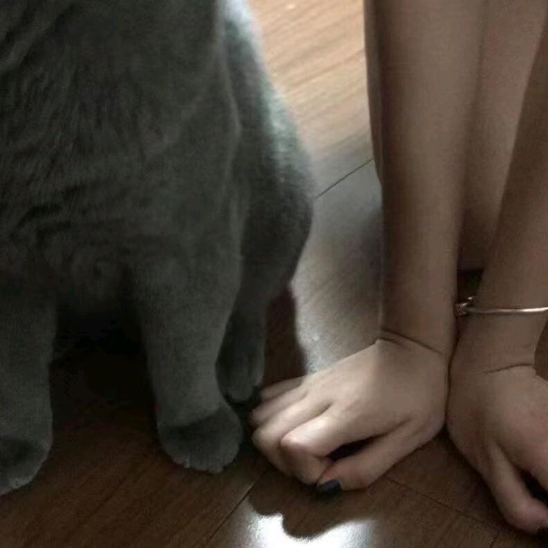 媛媛