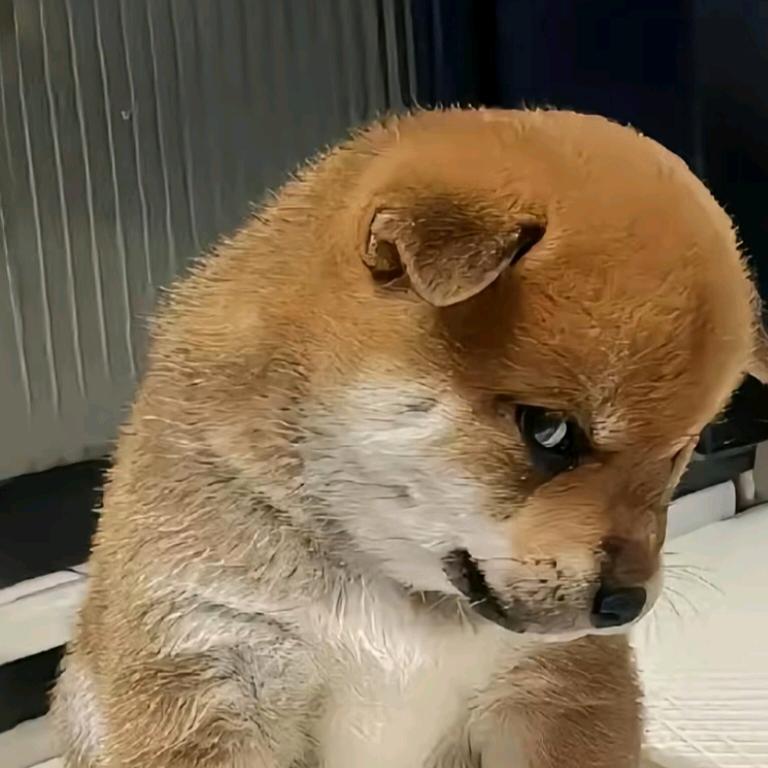 @嘎嘎@