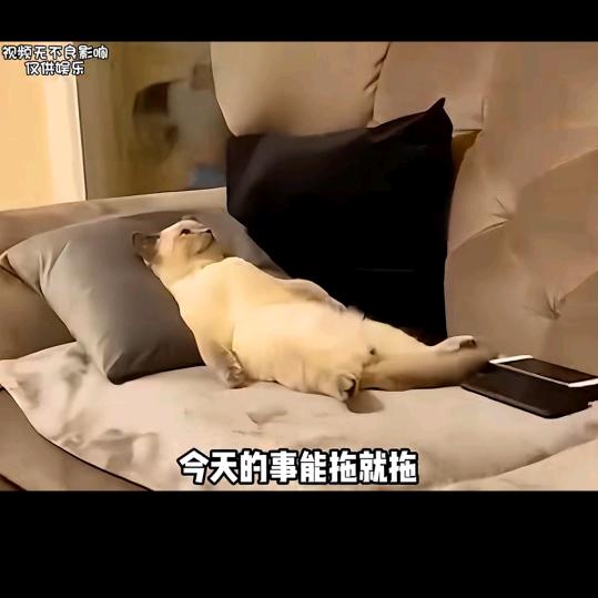 星光不问赶路人，岁月不负有心人💪('ω
