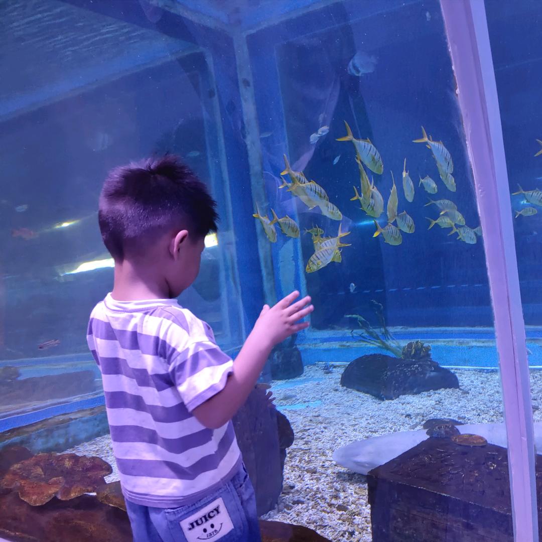 嘎嘎乐的火鸡面☘️