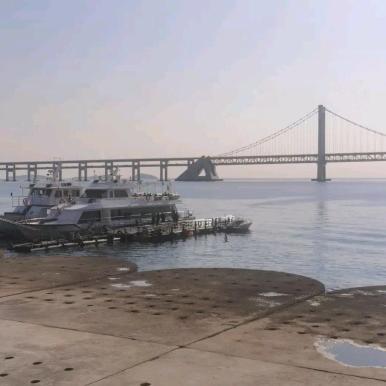 尊世情怀呼夏智悦一树花开1号