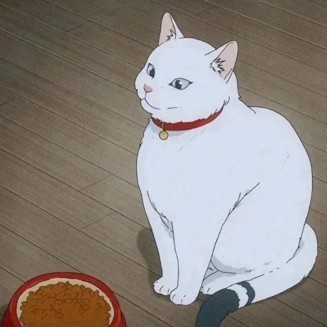 小花咕噜噜～