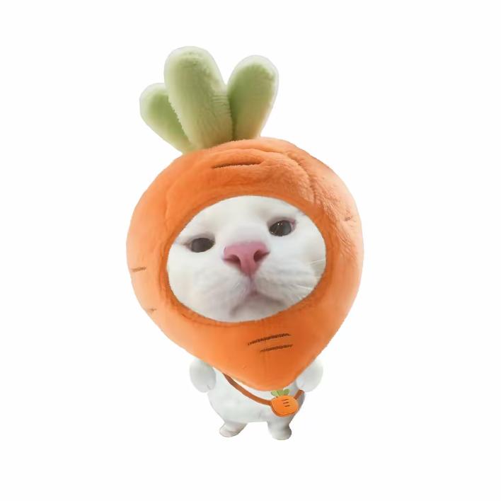 小洋芋🥔