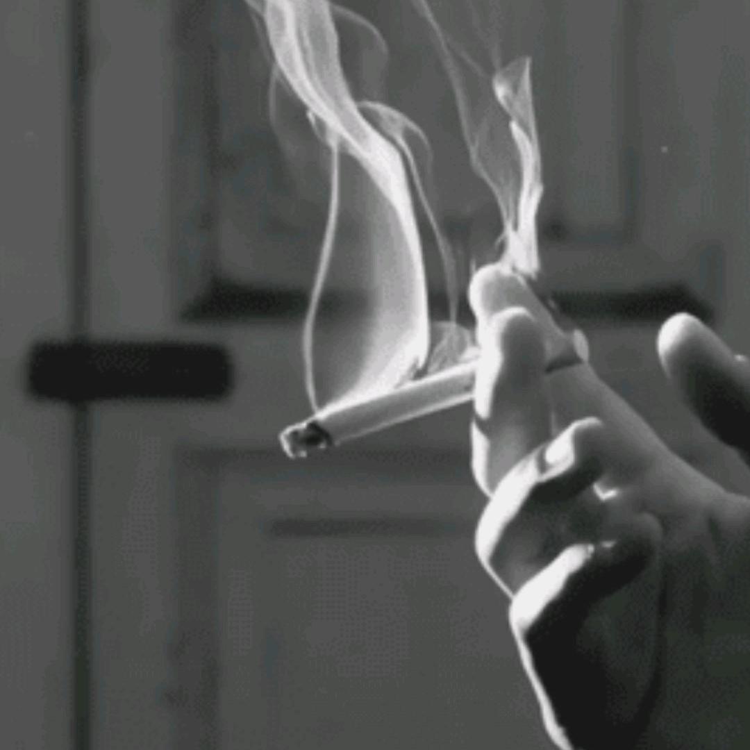 墨染流年