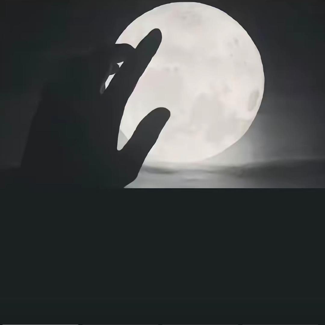 ℳঞ ꦿ王 ໌້ᮨ꧔ꦿ᭄💕