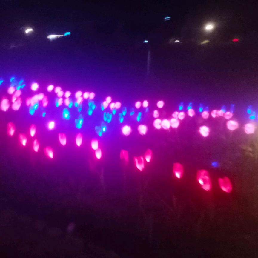 一生平安52781300327