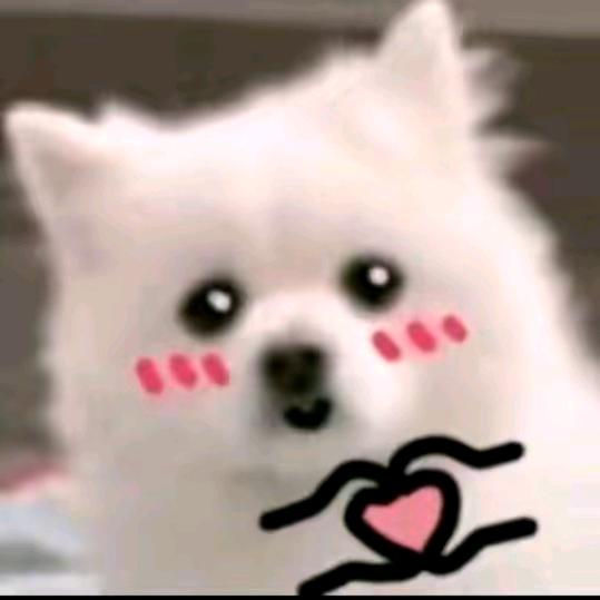 梦求真（暗区突围）