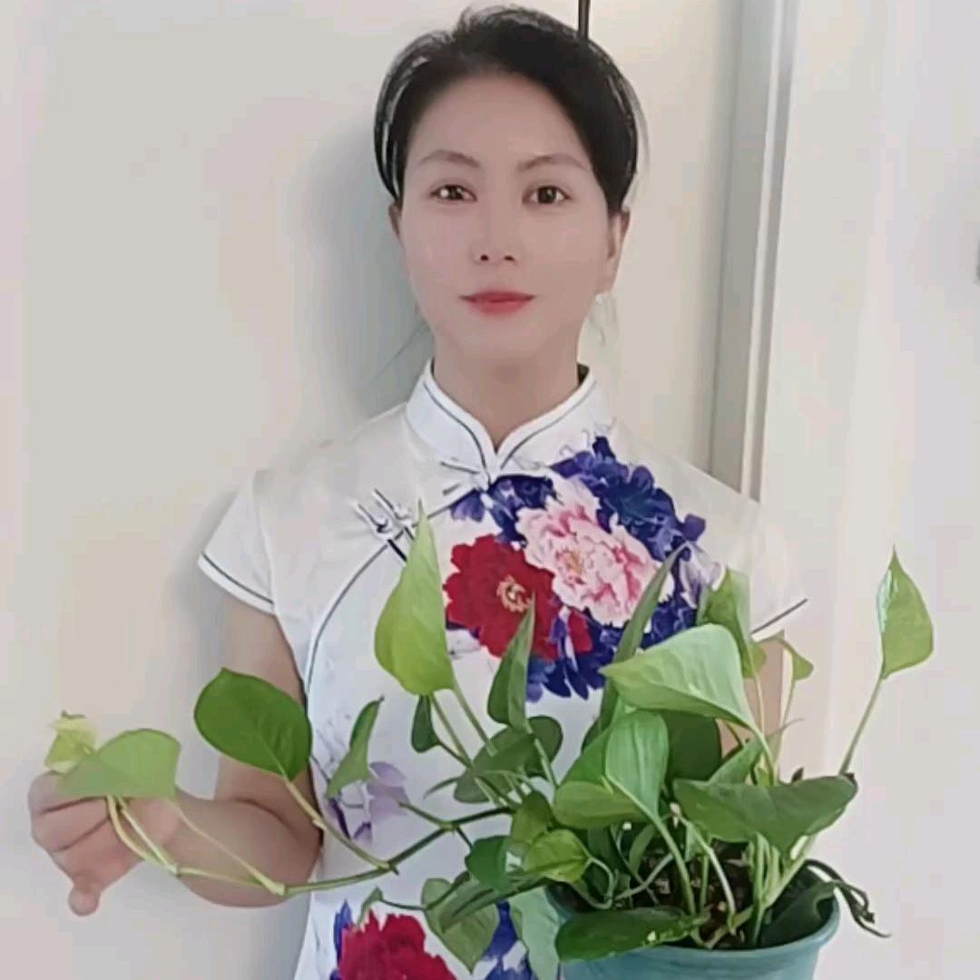 小辣椒