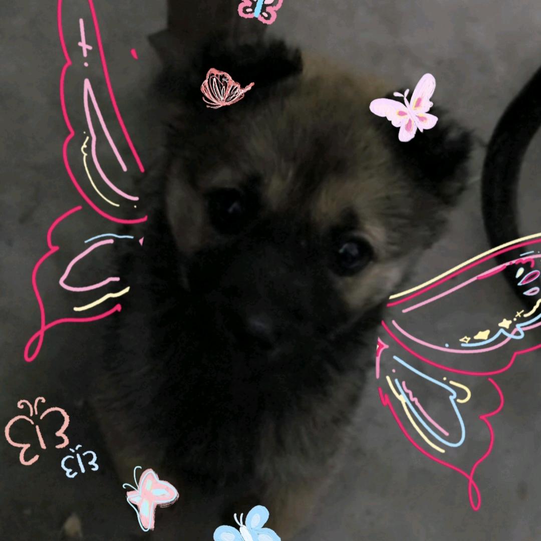 12壶小萍（见过六个人版）