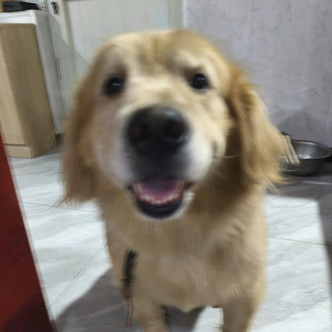 [...]