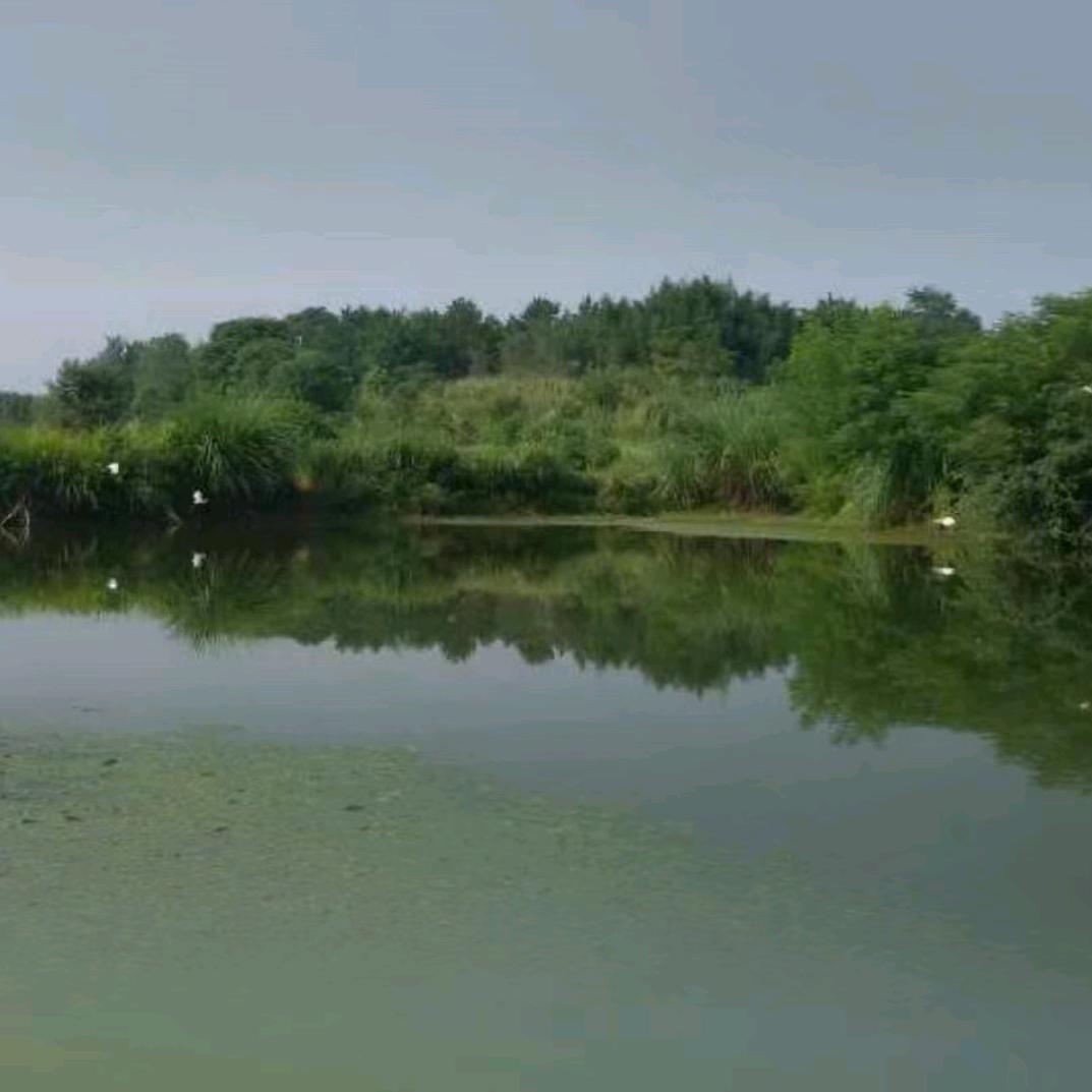 观赏鸽舍