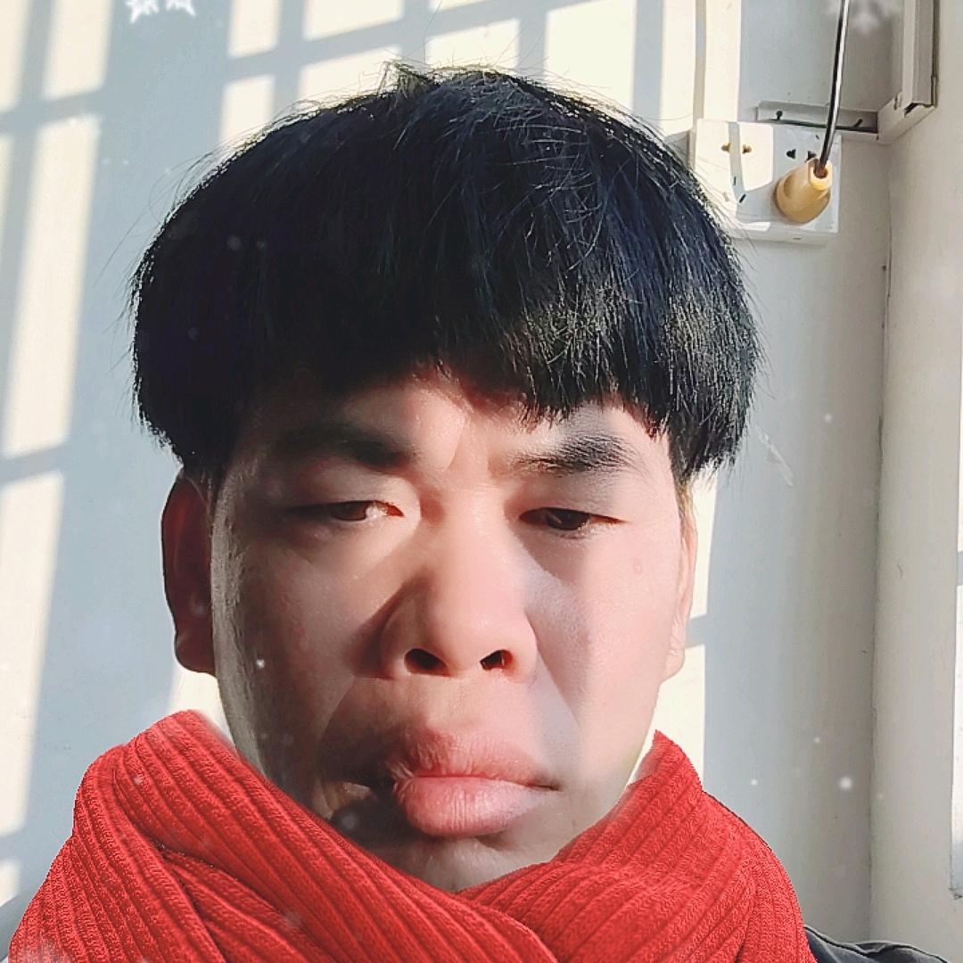 打不死的小强