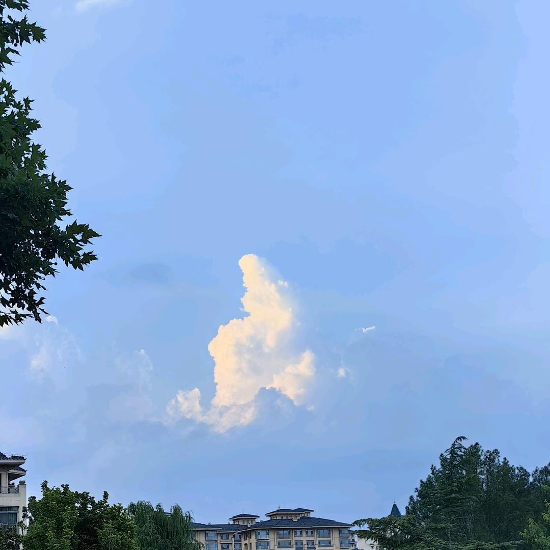 梦想之城