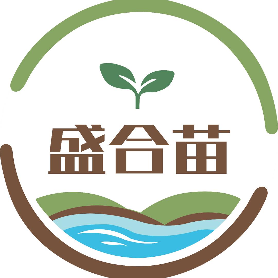 盛合苗五常大米