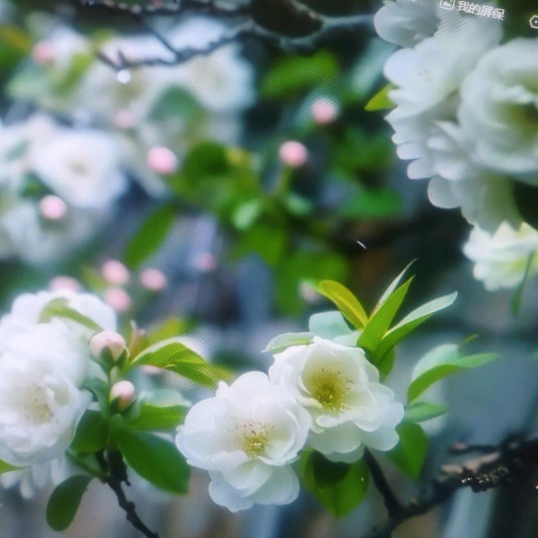 感谢老登常州娜娜⁹⁸⁷²