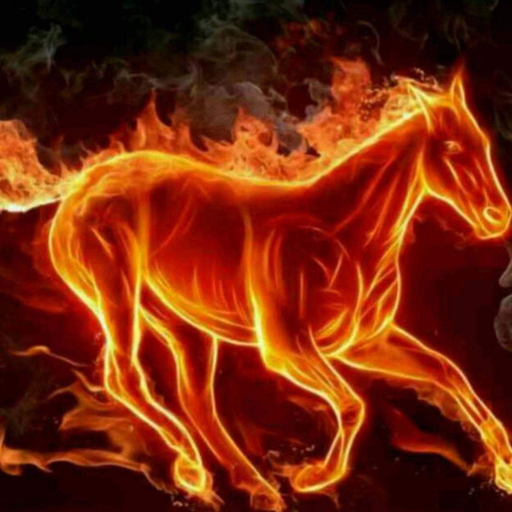 👨‍❤‍👨听雨阁