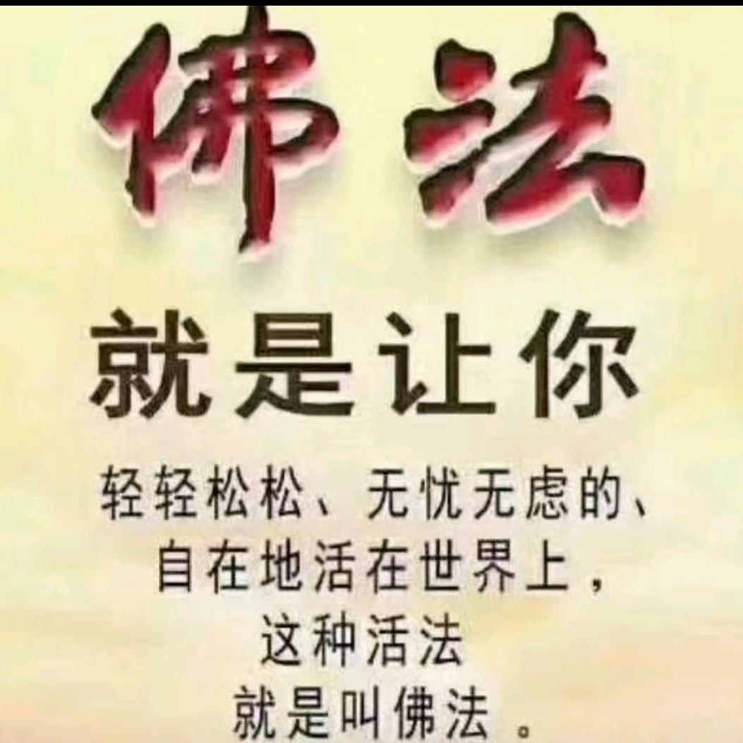 智舸