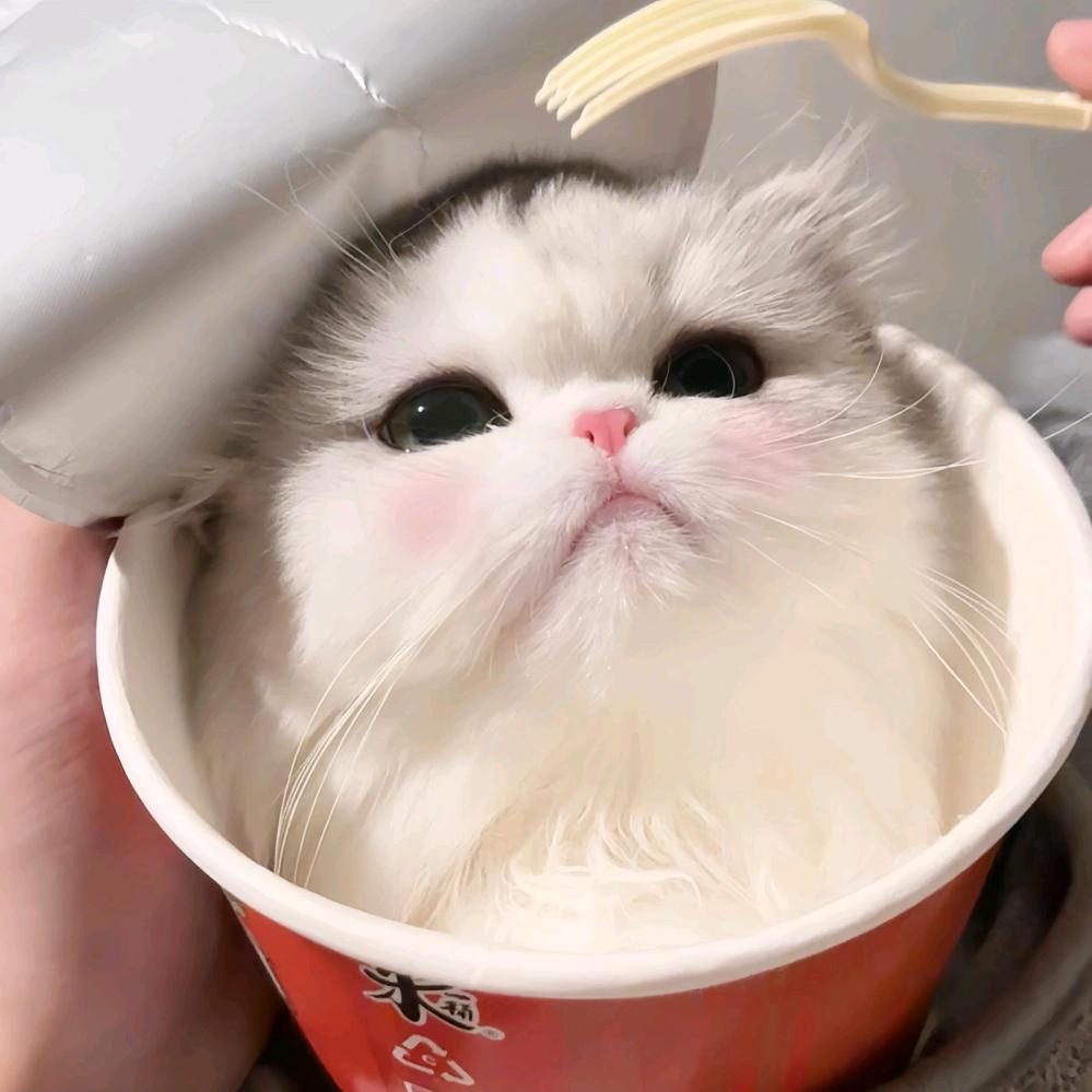 小王同学（大坝跑刀）