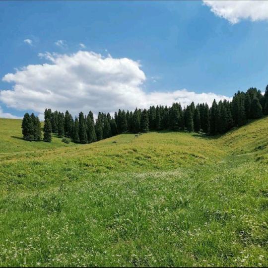 ঞ᭄星光💞不负້赶路人ꦿഒᩚ࿐