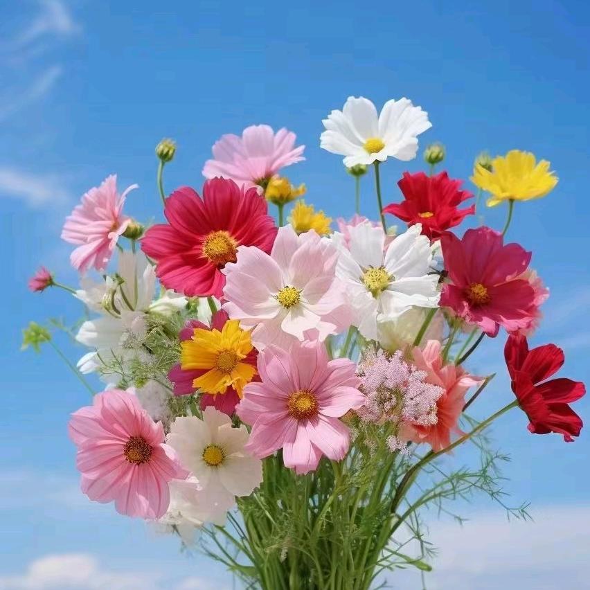 哥不是当年的哥