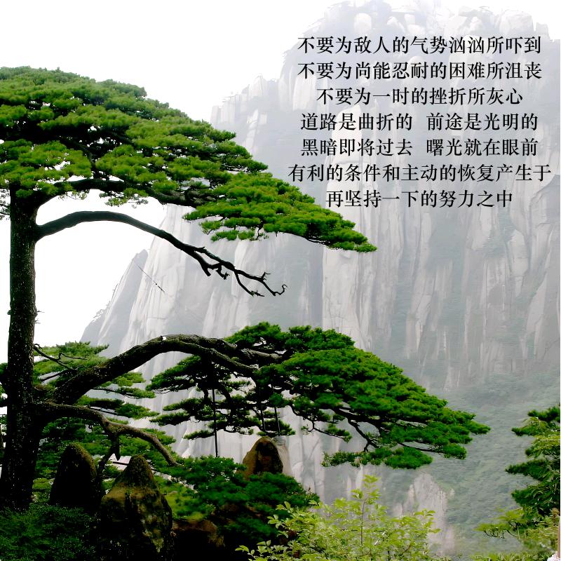 得鹿夢鱼