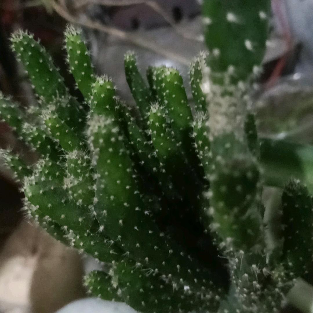 冷暖自知