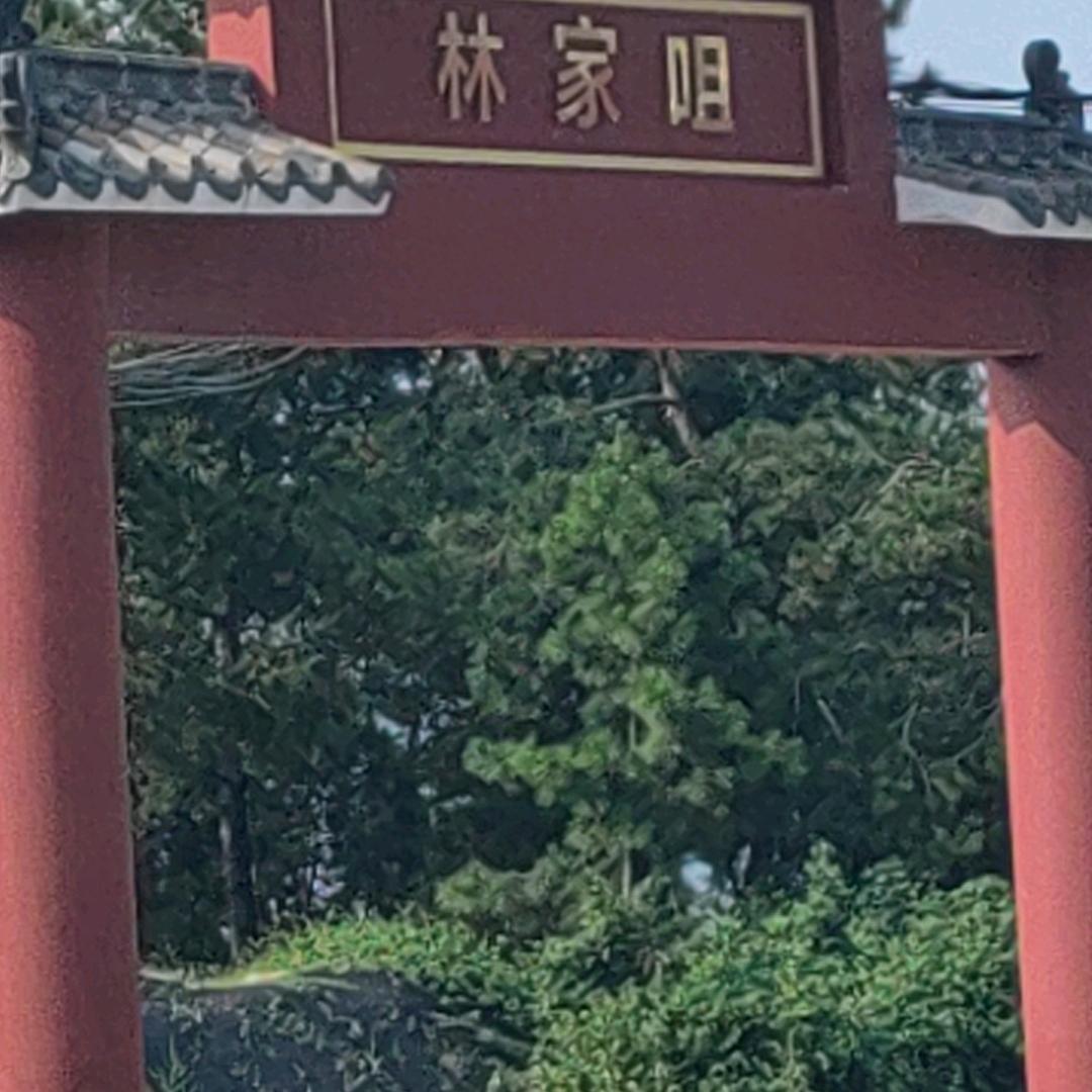 小白