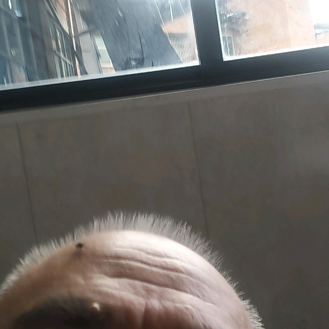 健健康康就是真