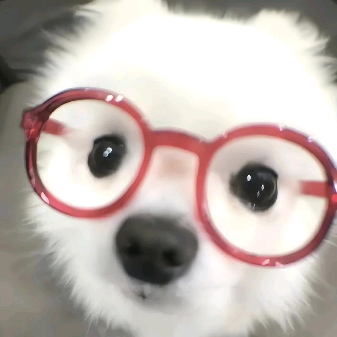 雾临客.