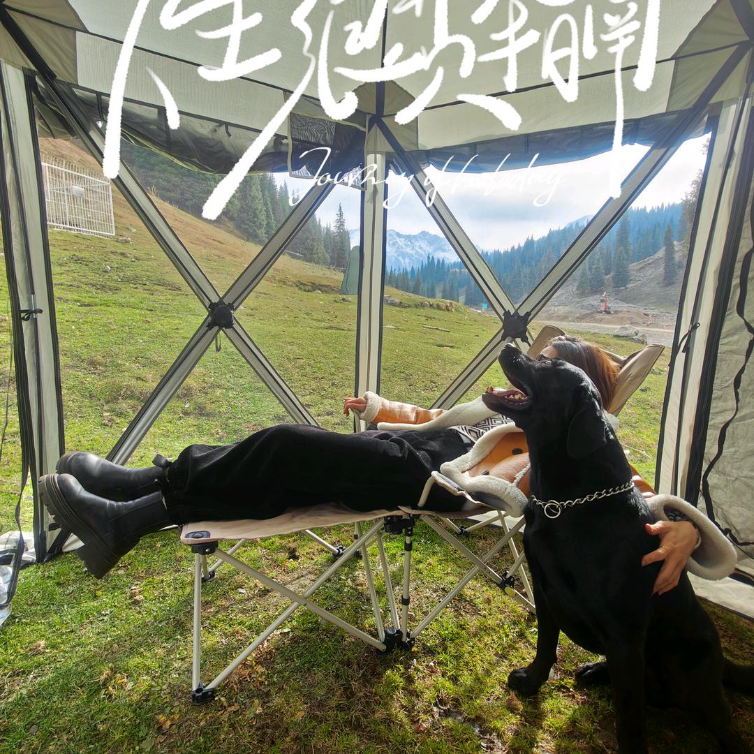 屁蛋的仙女养母