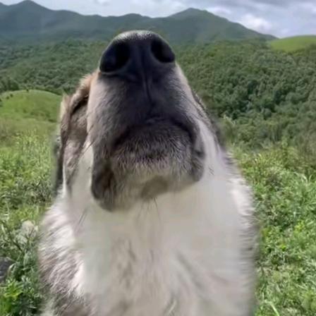 小可爱的老公