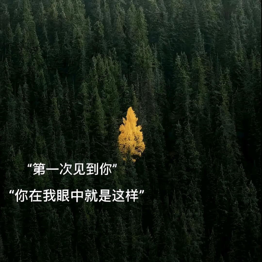 真诚头像