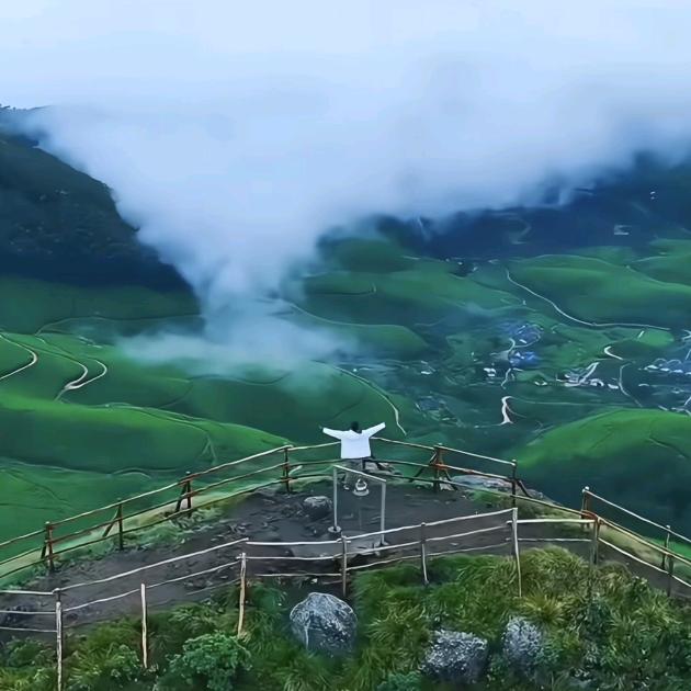 不吃酸菜心发慌