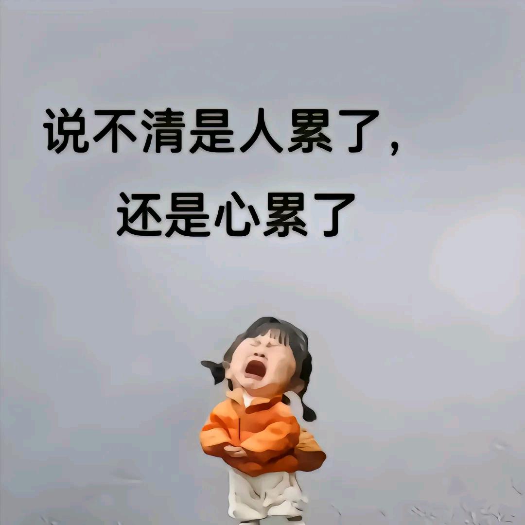 超越梦想