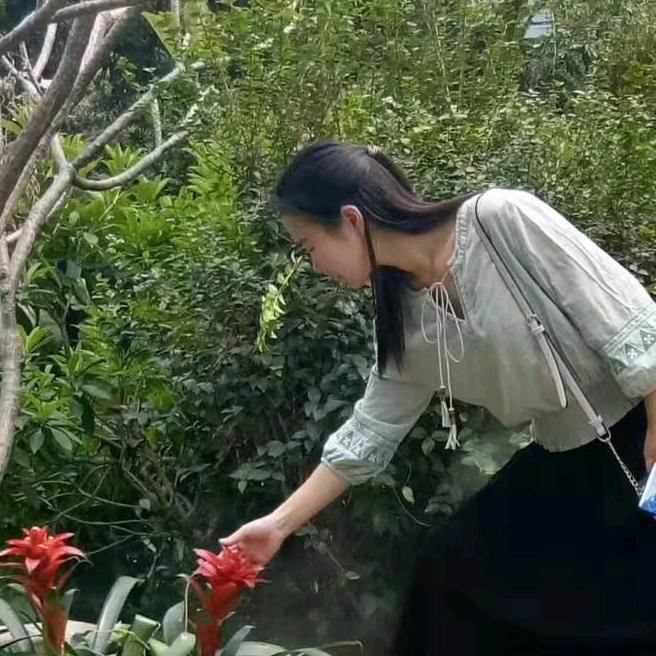 “佩琪”