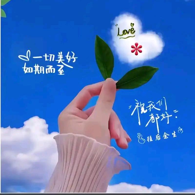 🌈听风看月🌈