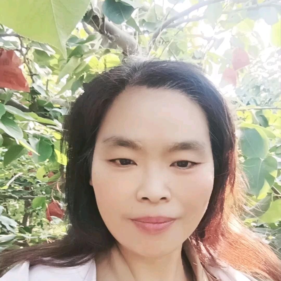 罗罗