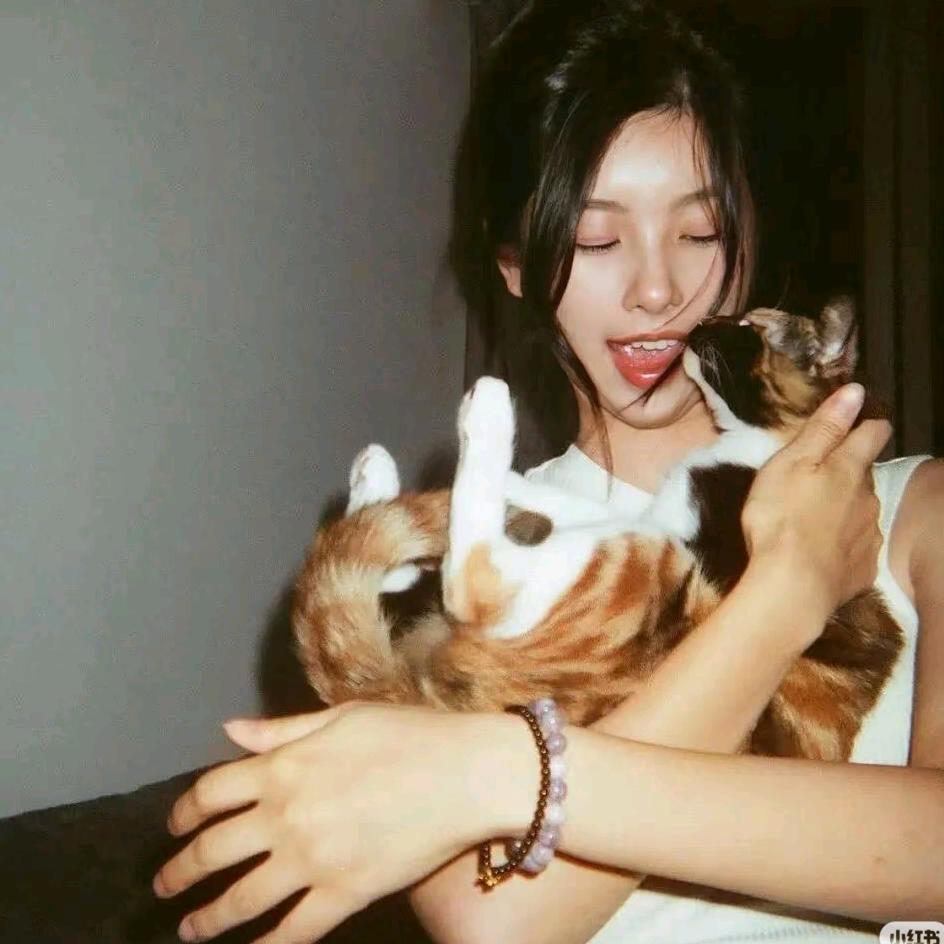 🌈🌈🌈好事花生