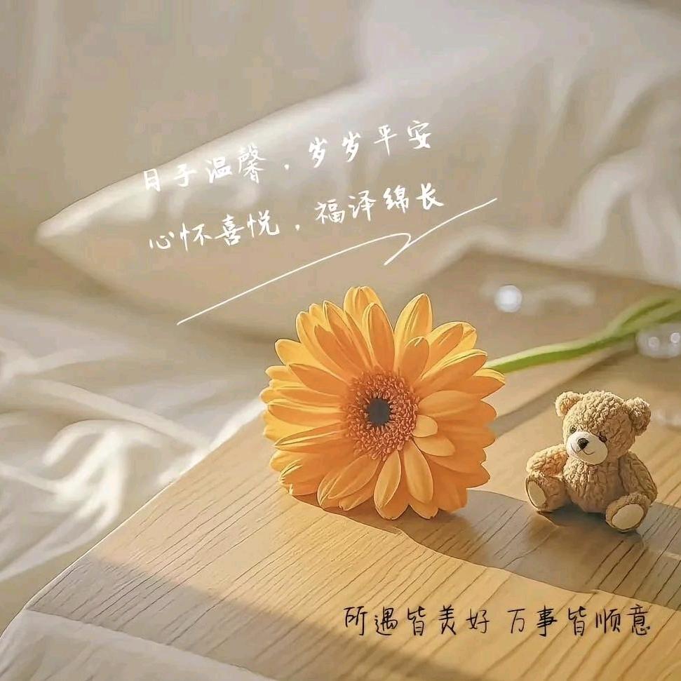 丝袜足