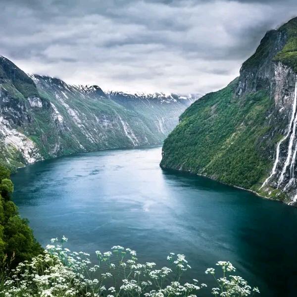 流苏美景