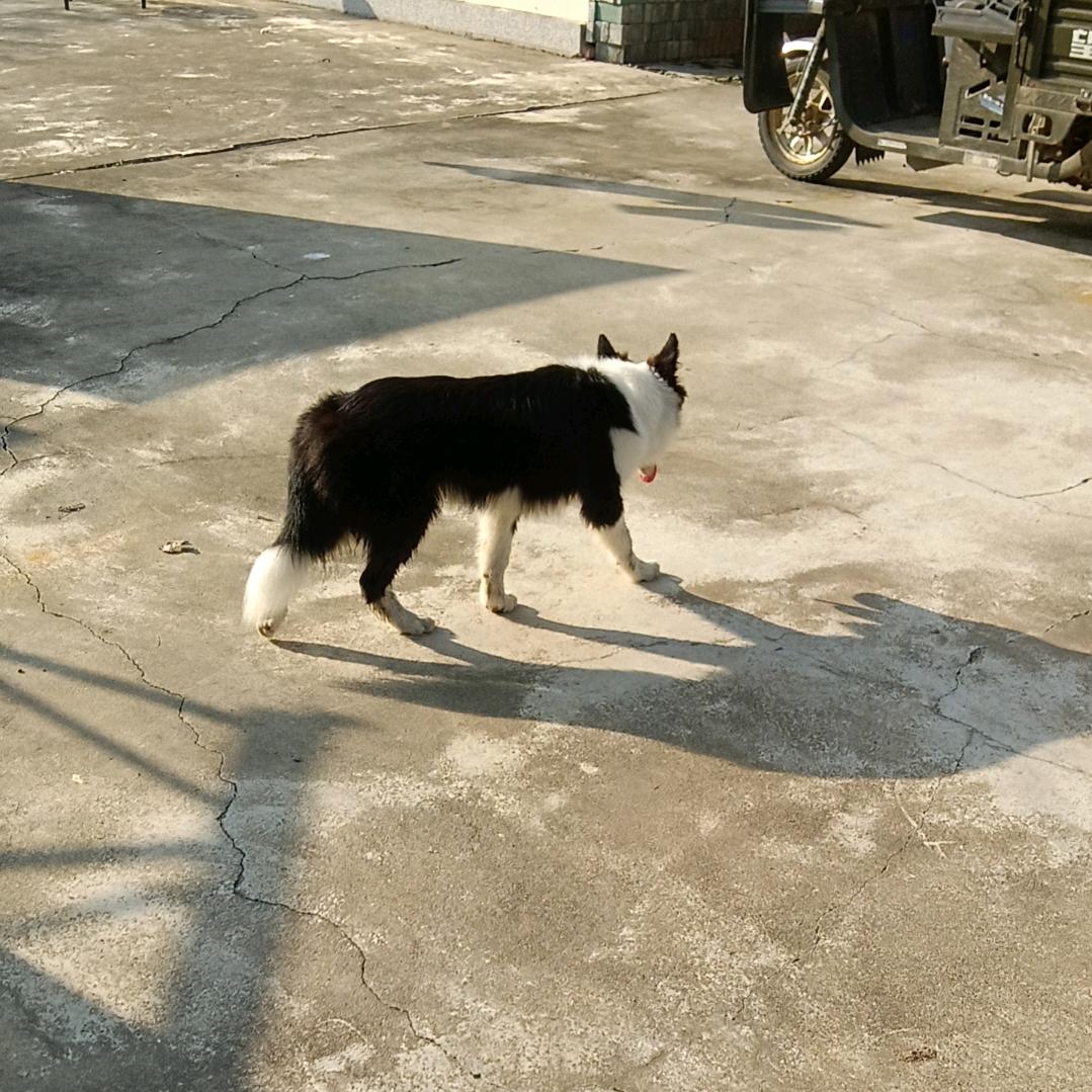 一切顺其自然