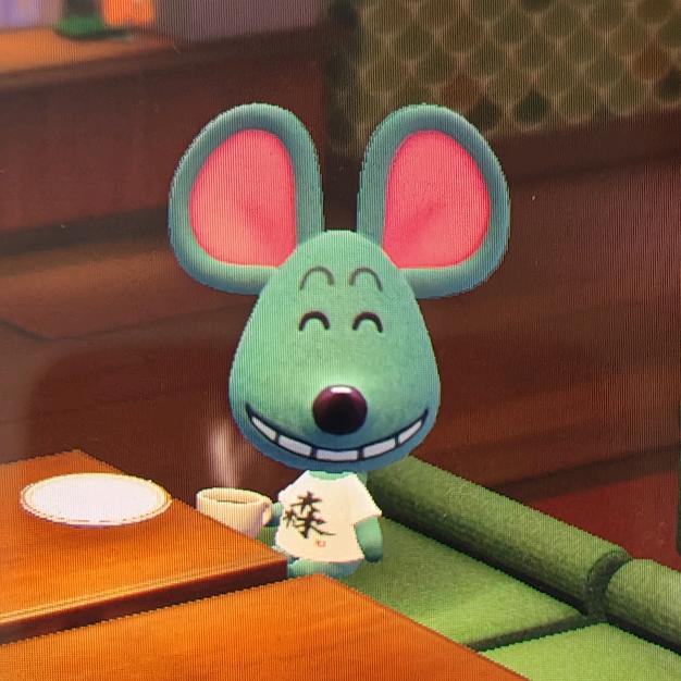 追光日记