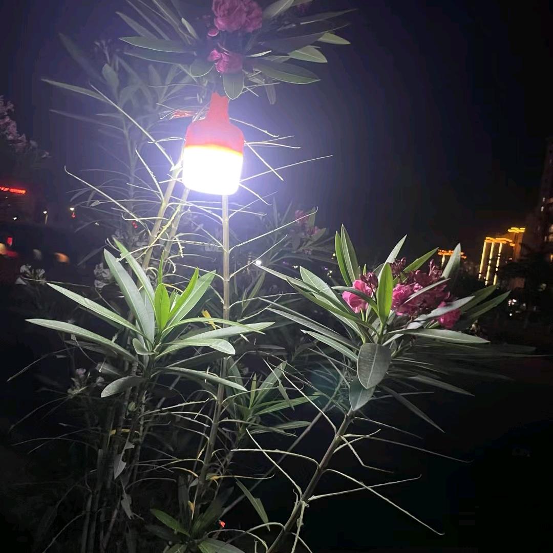 蓝莓莫吉托