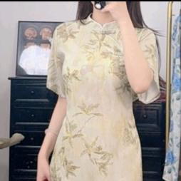 村里有个姑娘叫小芳