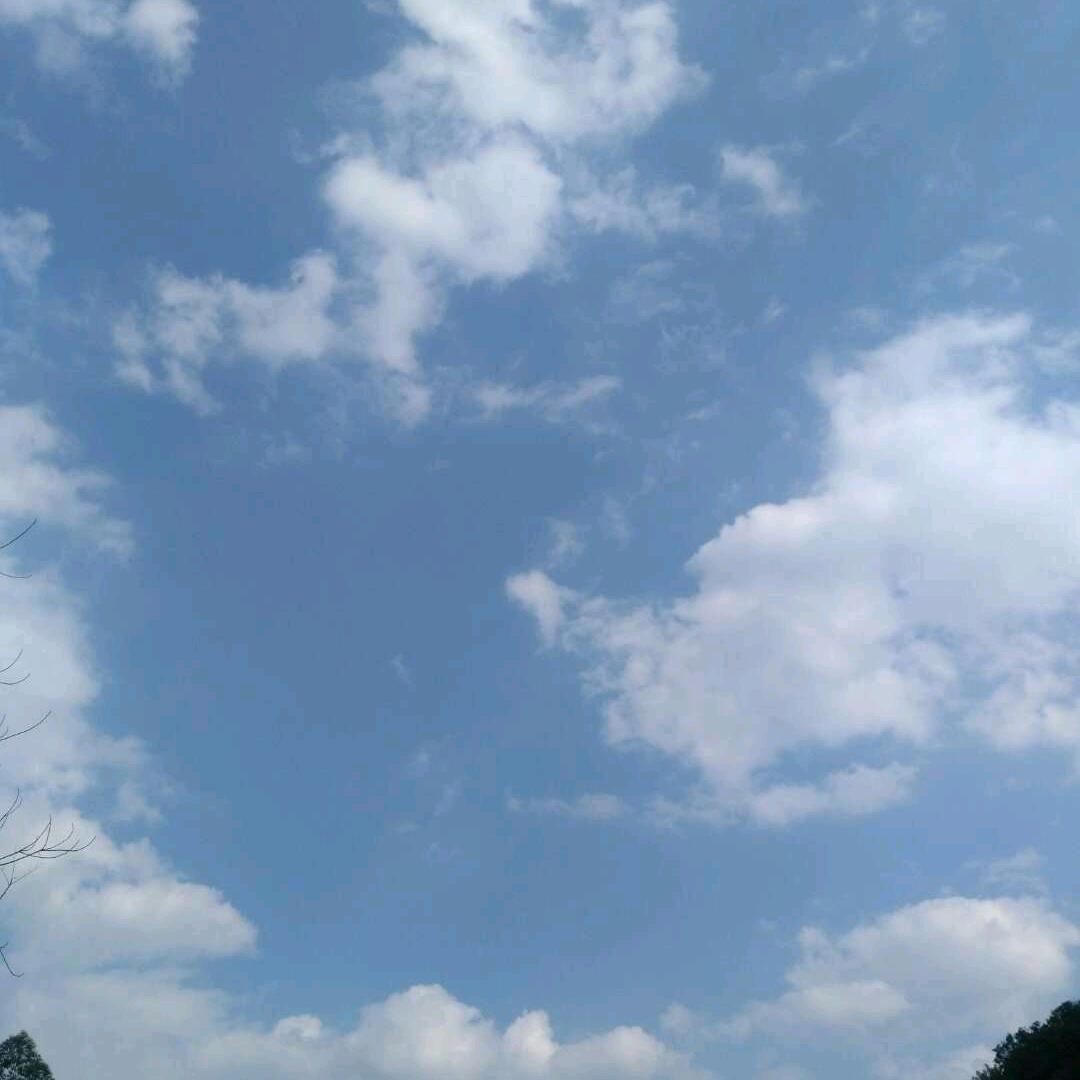 🍒酒醒痴人心💫