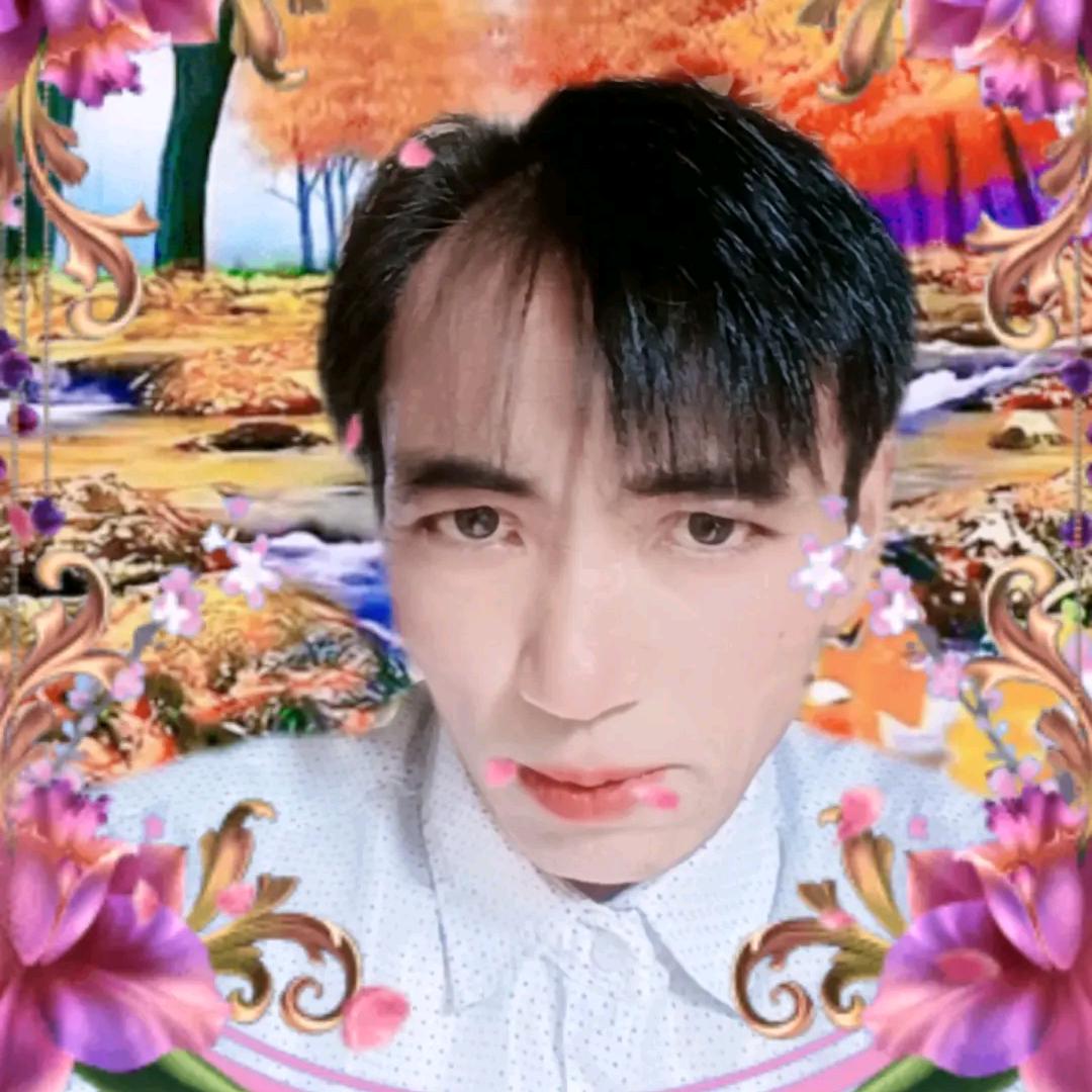 《月亮代表我的心》